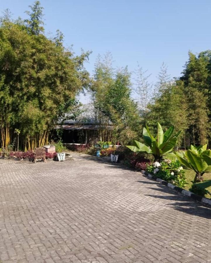 Le Bambou Gorilla Lodge Kinigi Zewnętrze zdjęcie