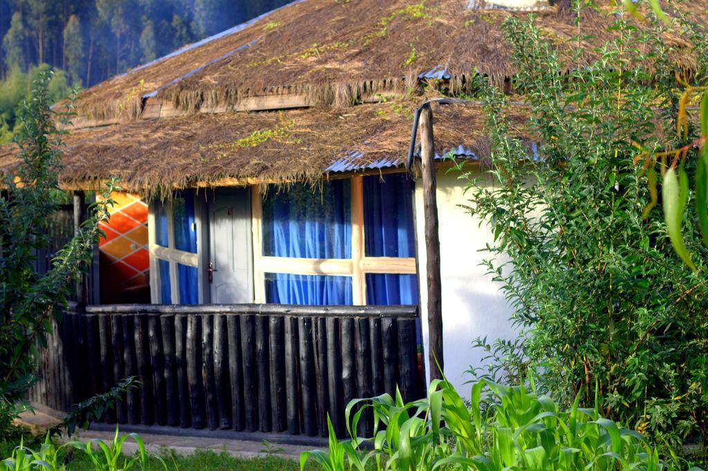 Le Bambou Gorilla Lodge Kinigi Pokój zdjęcie