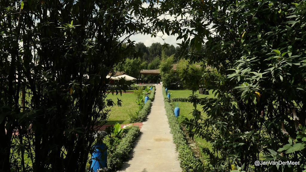 Le Bambou Gorilla Lodge Kinigi Zewnętrze zdjęcie