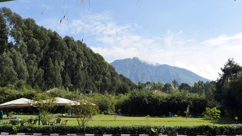 Le Bambou Gorilla Lodge Kinigi Zewnętrze zdjęcie