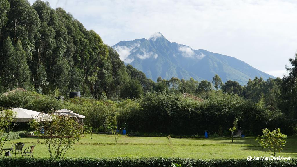 Le Bambou Gorilla Lodge Kinigi Zewnętrze zdjęcie
