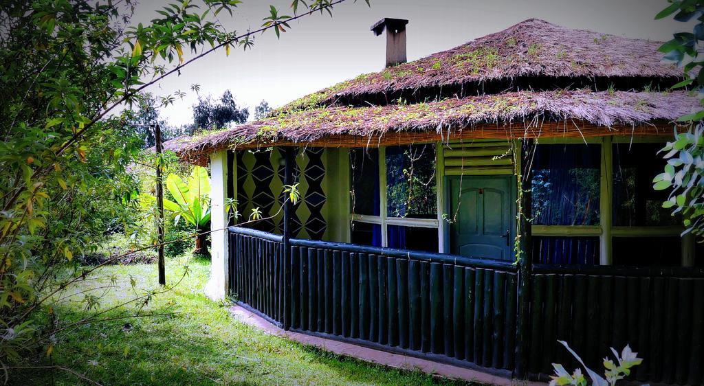 Le Bambou Gorilla Lodge Kinigi Zewnętrze zdjęcie